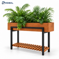 BOTANIC  PLANT DISPLAY STAND